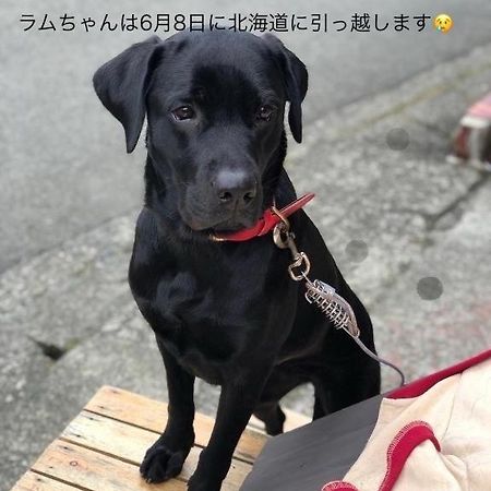 Hakone Guesthouse Toi Экстерьер фото