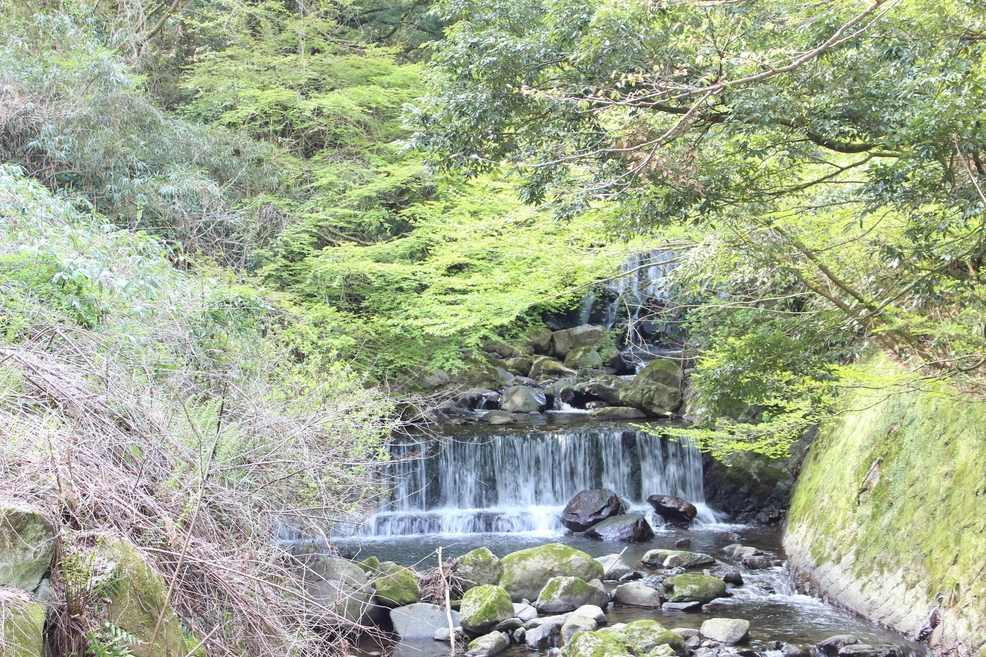 Hakone Guesthouse Toi Экстерьер фото